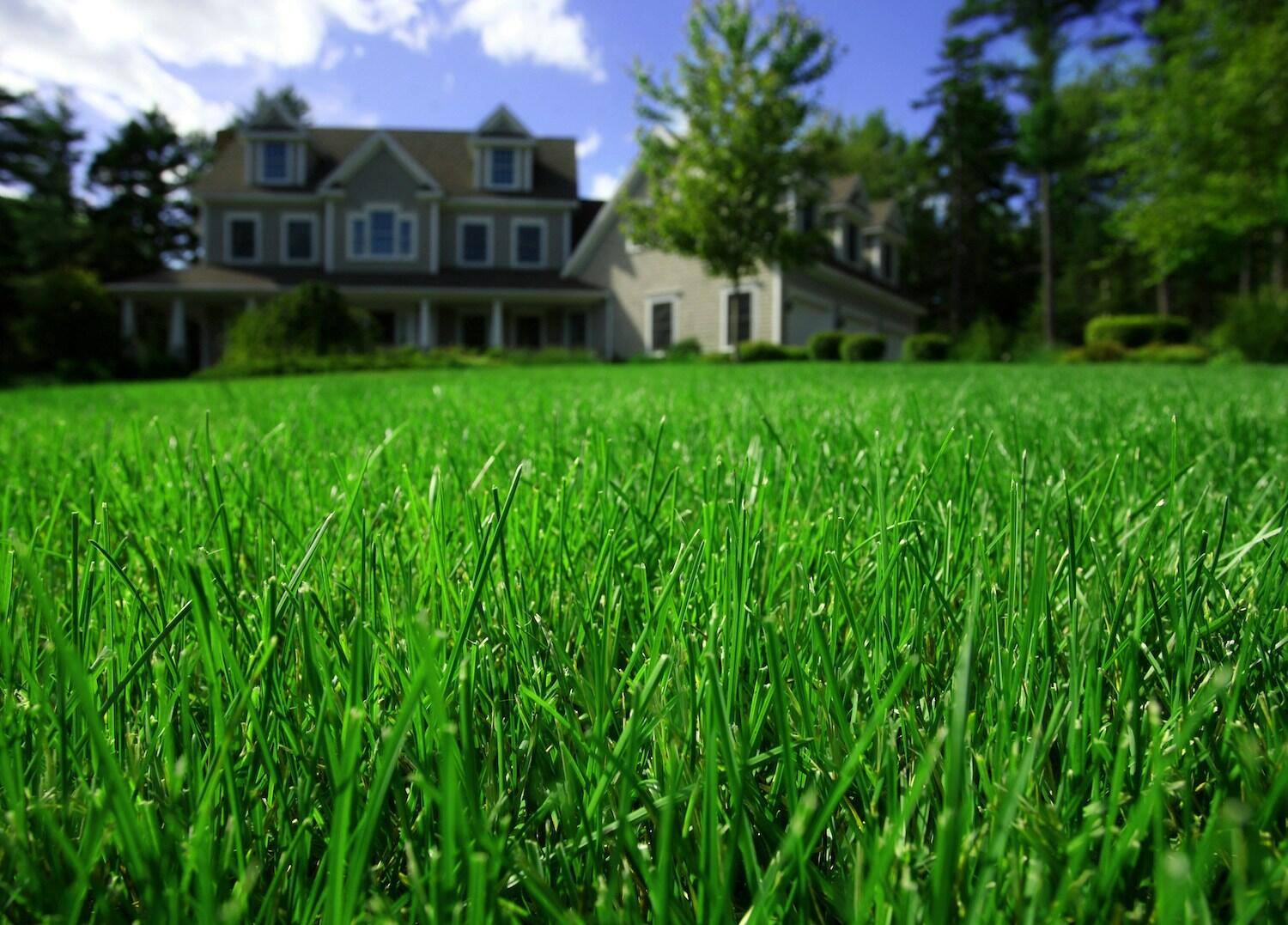 Reliable lawn care near Bainbridge, OH